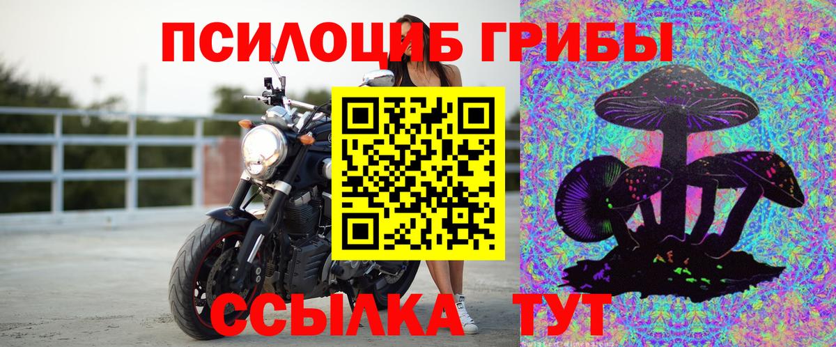Армавир  Псилоцибиновые грибы Cubensis  Вход с VPN 