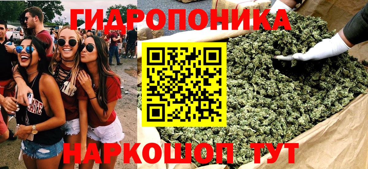 Каннабис индика  Марихуана Bruce Banner  Бошки марихуана конопля  Бошки Шишки тримм  Вход с VPN  Армавир 
